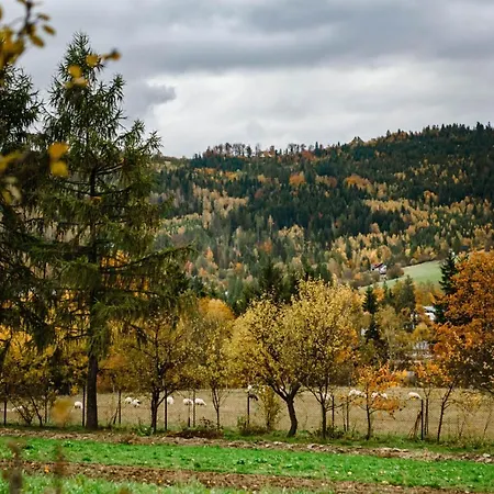 Dom Panorama Prázdninový dům Visla