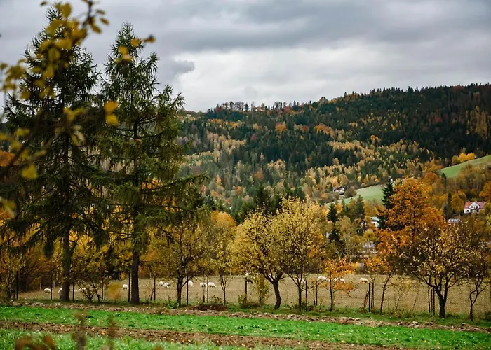 Dom Panorama בית נופש ויסלאו